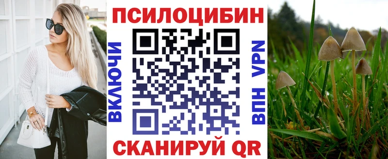 Галлюциногенные грибы Cubensis  Северо-Курильск 
